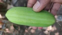 handmade-craft-arrivals1